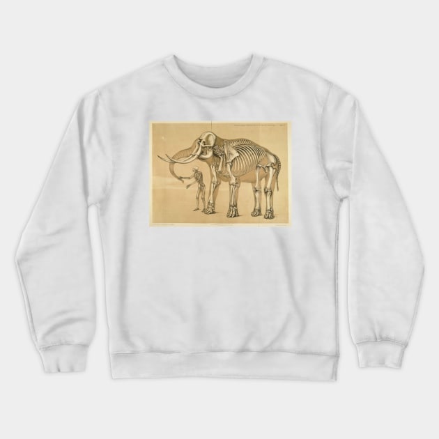 Vintage Elephant and Human Skeleton Illustration Crewneck Sweatshirt by Bravuramedia